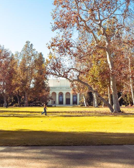 Southern California gifted us beautiful fall colors to campus this semester. 